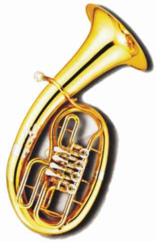 Tenorhorn