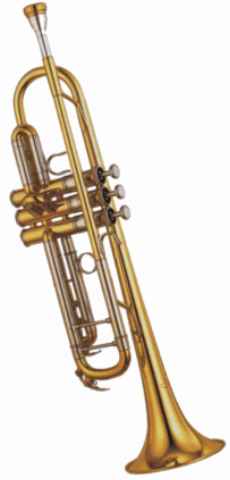 Trompete